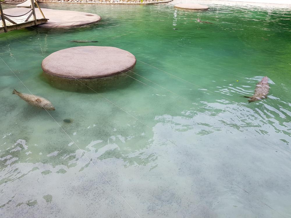 20180521_174016[1].jpg