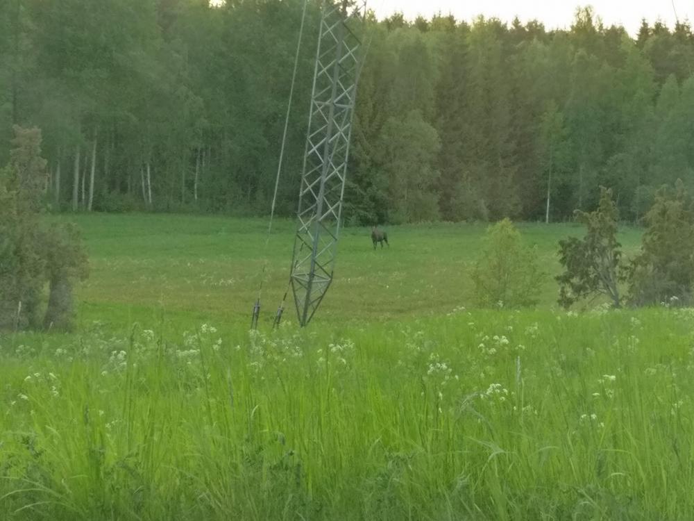 IMG_20180522_205137.jpg