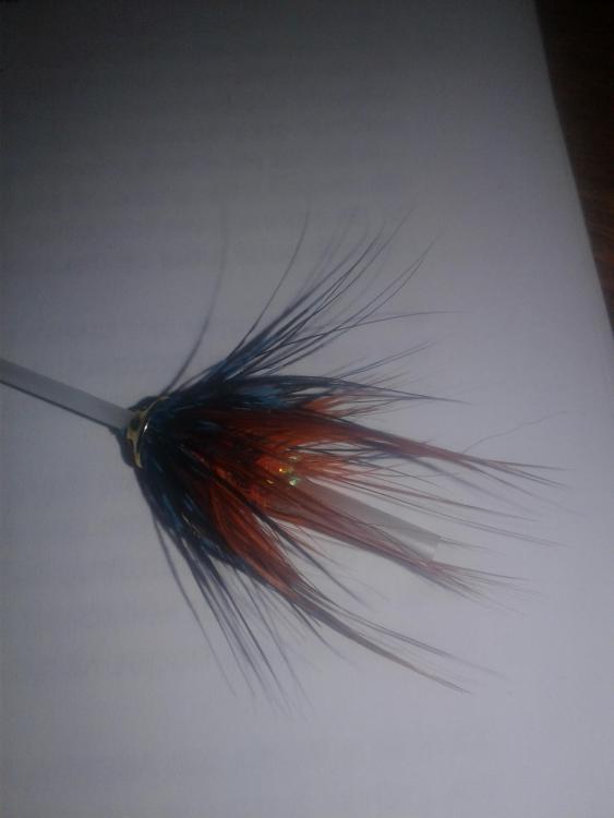 20180602_010413.jpg