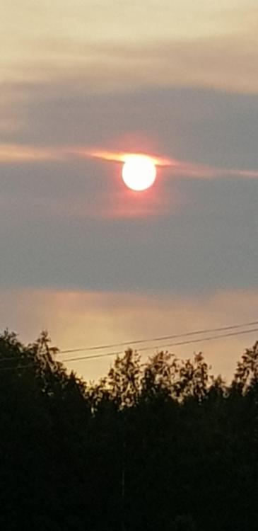 20180715_204754.jpg