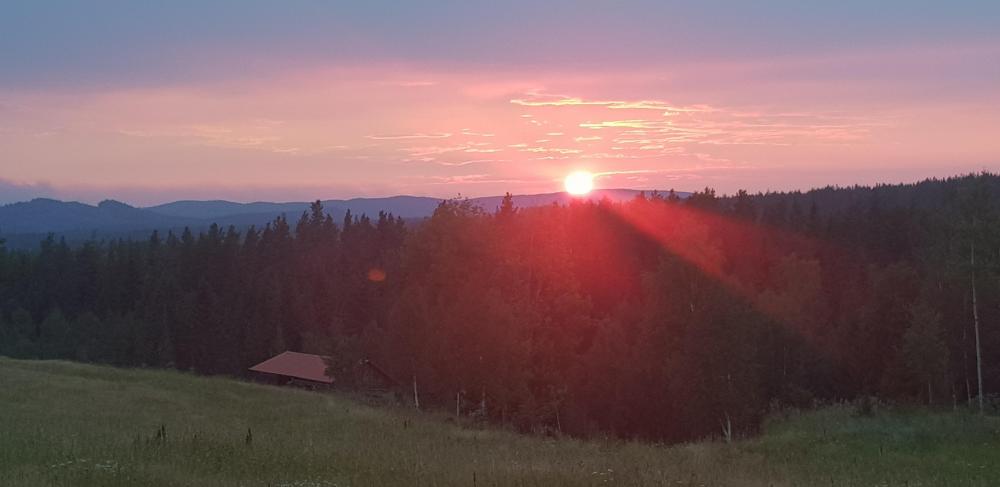 20180719_215134.jpg