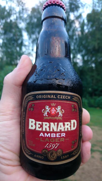 dagens2.thumb.jpg.b7bb79f0544e52ec8b071a3a18cbd4b8.jpg