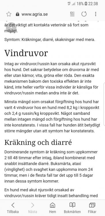 1705196680_Screenshot_20181014-223849_SamsungInternet.thumb.jpg.56a1c347f3a888c0890c880710ddbb98.jpg