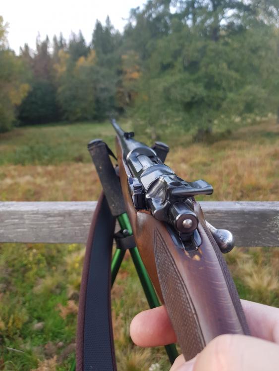 20181006_091308.jpg