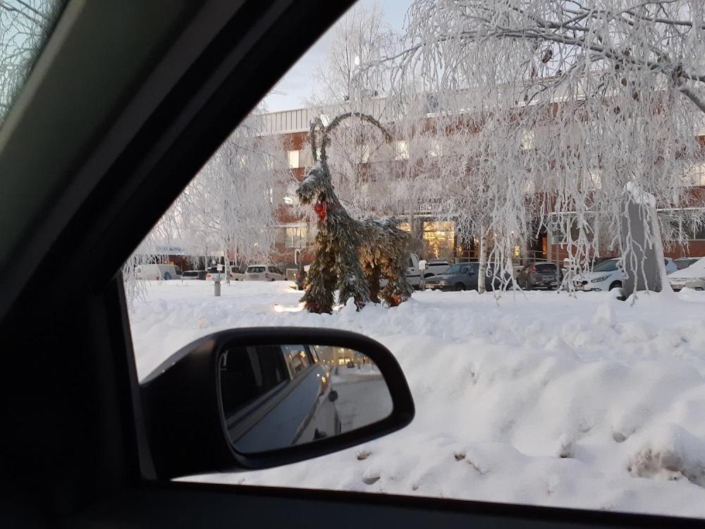 20181228_091140.thumb.jpg.3f744f139ea17e3c3d1be32602b6d7cb.jpg