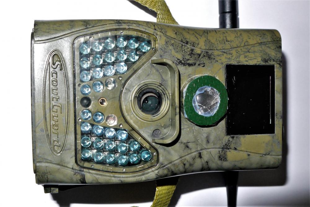 Viltkamera.jpg