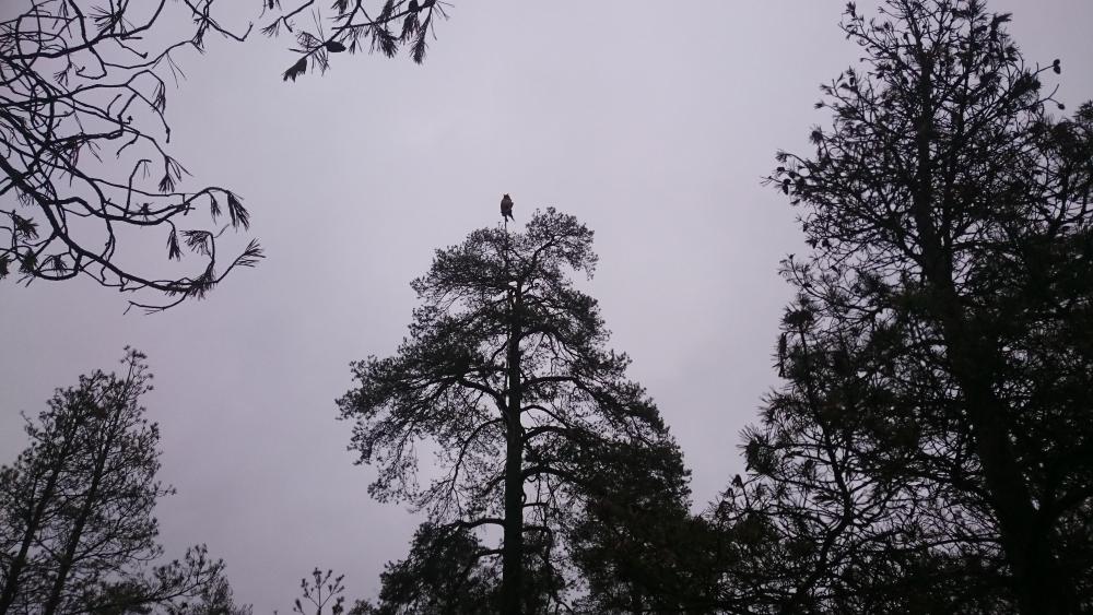 DSC_0368.JPG