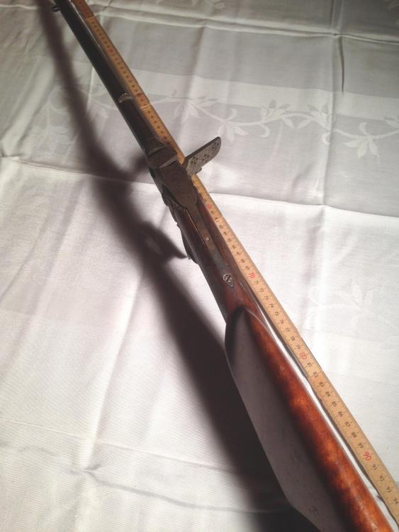 sauer.jpg