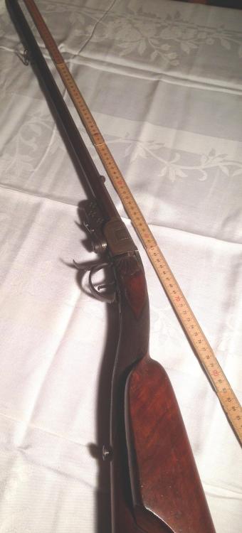 sauer3.jpg