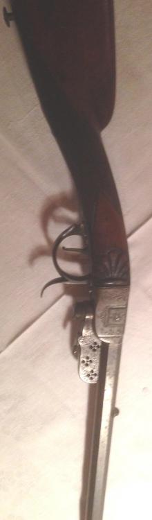 sauer4.jpg