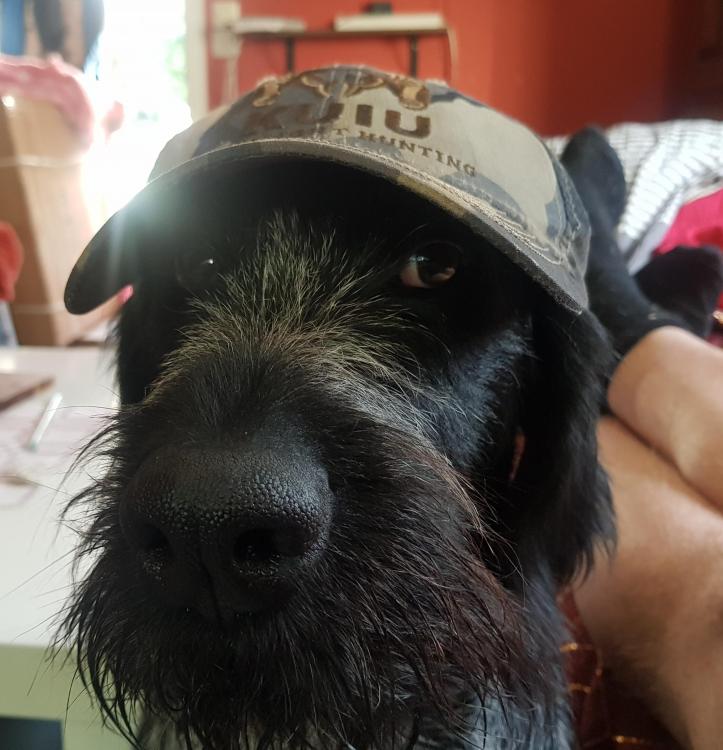 20190623_202738.thumb.jpg.47ef57da69ce87d9010ff4672cc1ba1b.jpg
