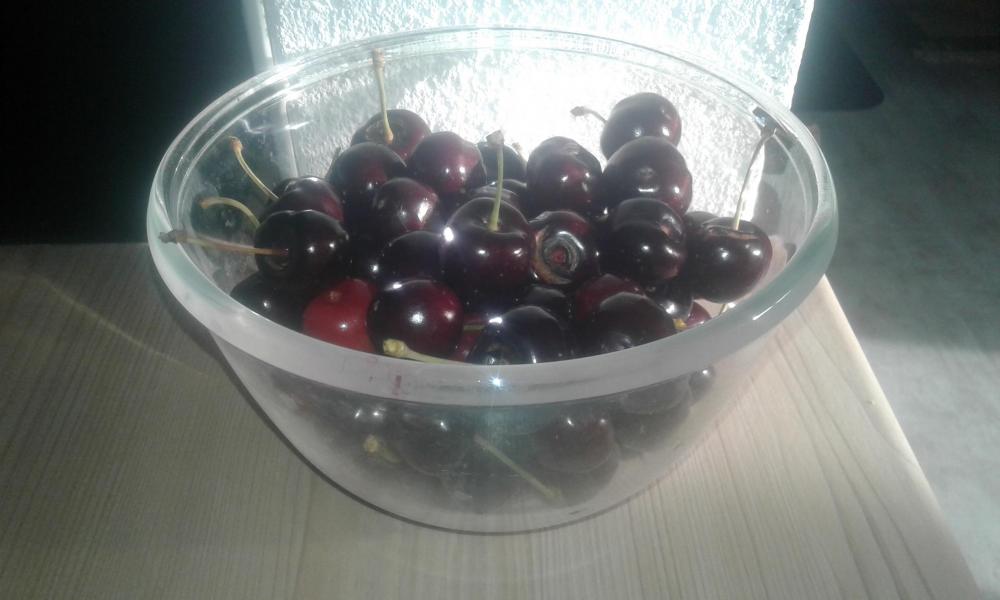 20190713_194222.jpg