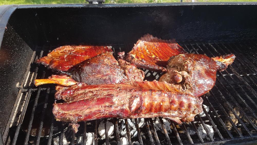 20190717_165805.thumb.jpg.60a299f470bbfb48b58d40460318f735.jpg