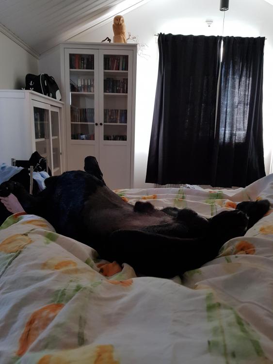 20190802_085352.jpg
