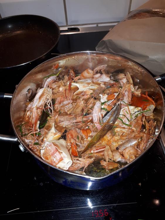 20190809_200445[1].jpg