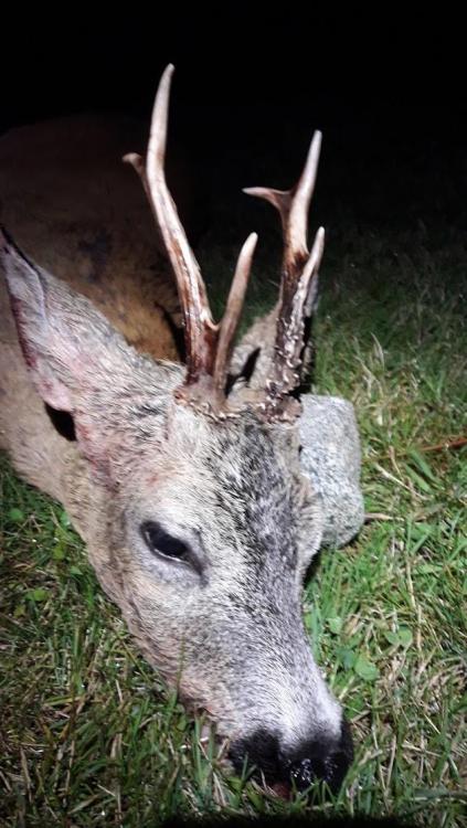 20190825_215451 (1).jpg