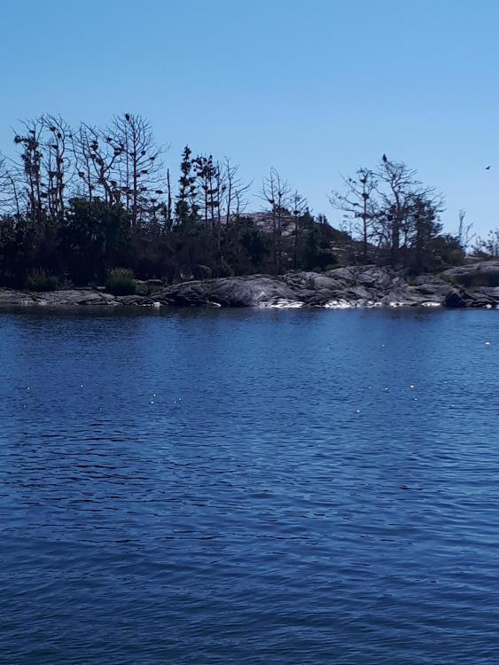 20190724_104026[1].jpg