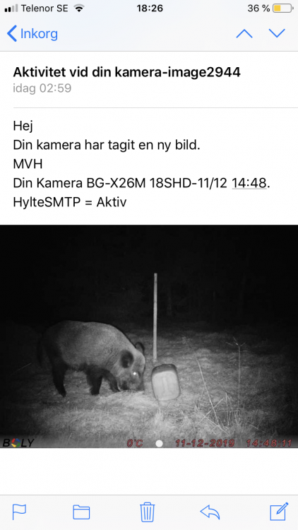 3C5BCD4F-8E80-4280-84C5-4B3099501DF6.thumb.png.b7b3dbf47f378698902963c5f00d1ba8.png