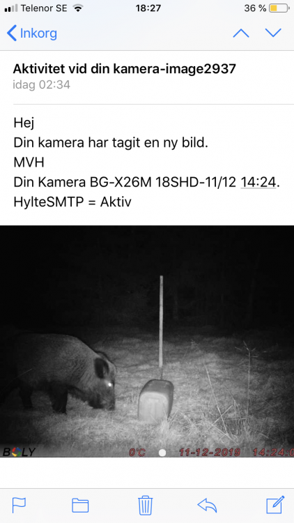 58DA577D-4CA8-4DB9-9169-AAE73648D8D1.png