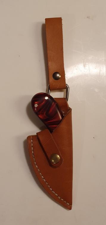 20200928_184453.jpg