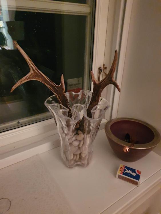 20201203_171744.jpg