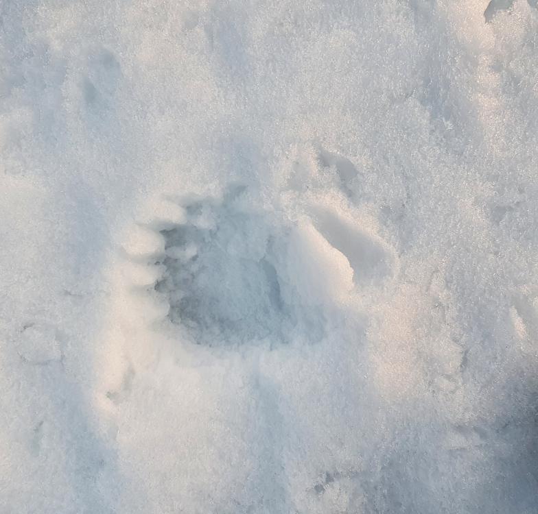 20210417_201904.jpg