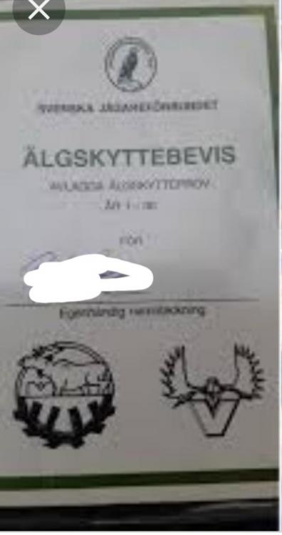 37142434_Screenshot_20210812-160108_SamsungInternet.thumb.jpg.449d394f1bdbee5eb3b966d492b13e68.jpg