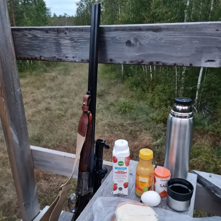 IMG_20220908_051957_375.thumb.jpg.a87514731500bc74fd3e2f62eb231f8d.jpg