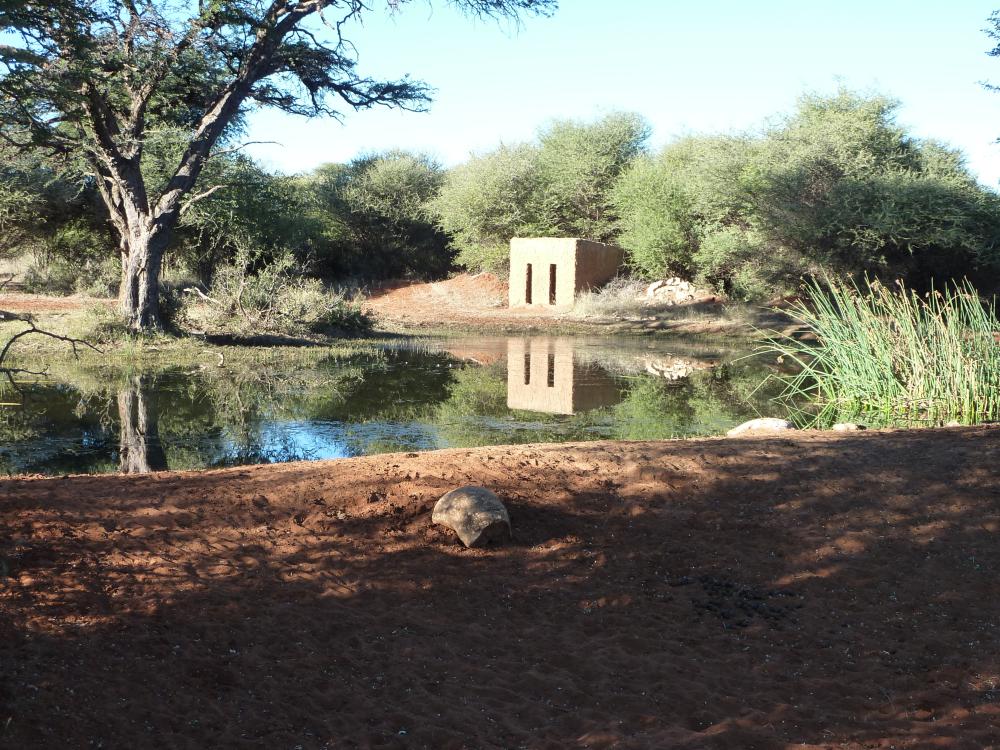 Afrik0512 002.jpg