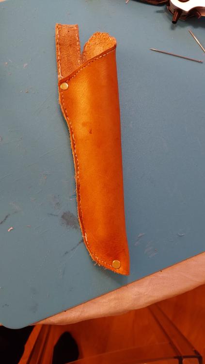 20230228_165128.thumb.jpg.3b5aeada221c33082b6769e1c4cdef83.jpg