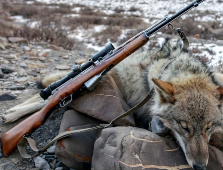 Screenshot_20230103_171805_Chrome.jpg.43796c187cb8e4550364c31133c456eb.jpg