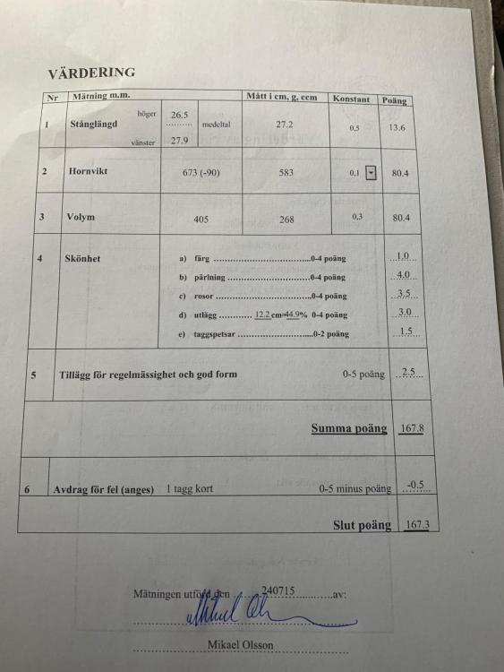 papper 1.jpg