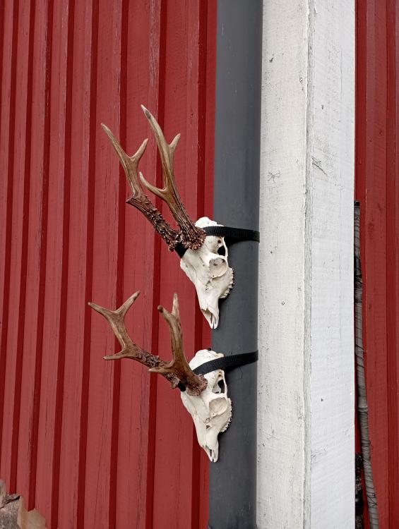 idag2.JPG