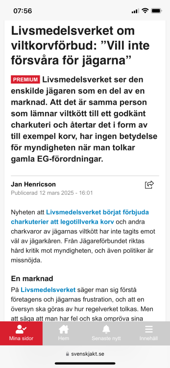 IMG_6913.png