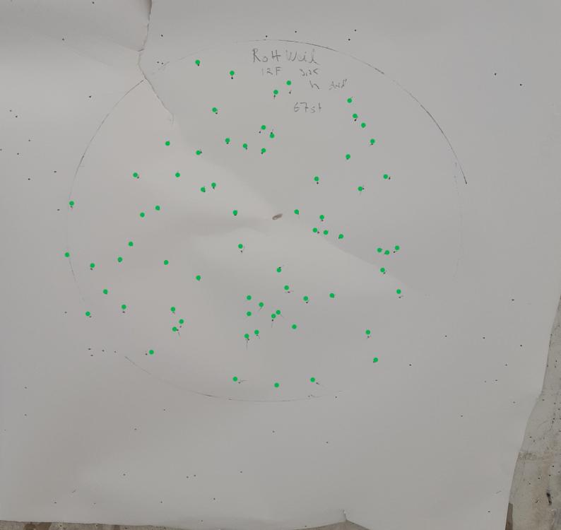 rottweil f12 3,25.jpg