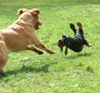 post-1035-1159164916_thumb.gif