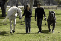 post-144-1204352041_thumb.gif