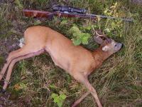 post-50-1187512380_thumb.jpg
