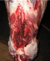 post-67-1189406446_thumb.jpg