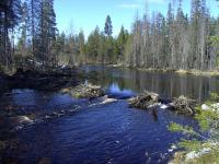 post-907-1177268836_thumb.jpg
