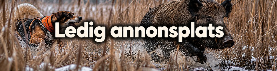 Ledig annonsplats